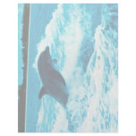 Bottlenose dolphin (Tursiops truncatus), Bahama Is Letterhead