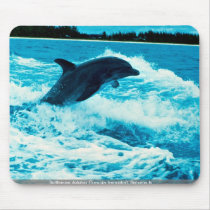 Bottlenose dolphin (Tursiops truncatus), Bahama Is Mousepad