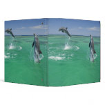 Bottlenose Dolphins Tursiops truncatus) 17 3 Ring Binders