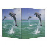 Bottlenose Dolphins Tursiops truncatus) 4 Binder