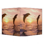 Bottlenose Dolphins Tursiops truncatus) 8 Binder