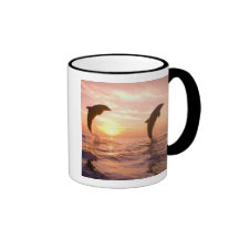 Bottlenose Dolphins Tursiops truncatus) 8 Coffee Mug