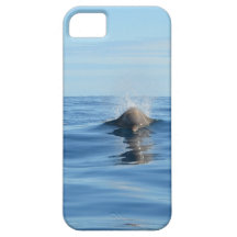 Bottlenose Whale iPhone 5 Cover