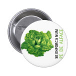 Bottom “Is hung in a Foot of Lettuce " Buttons