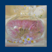 Boudoir Budvase magnets