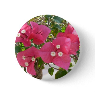 Bougainvilia Button by codfishlady