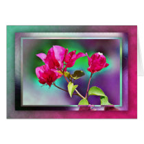 Bougainvillea1 cards by dollargrafix Bougainvillea1 cards