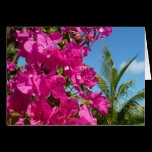 Bougainvillea and Palm Tree Card