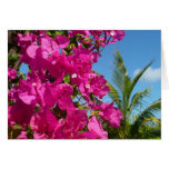 Bougainvillea and Palm Tree Card
