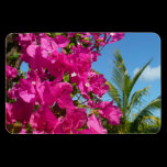 Bougainvillea and Palm Tree Flexible Magnet