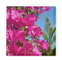 Bougainvillea and Palm Tree Magnet by mlewallpapers Bougainvillea and Palm Tree Magnet