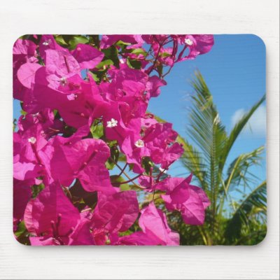 Bougainvillea and Palm Tree Mousepad by mlewallpapers