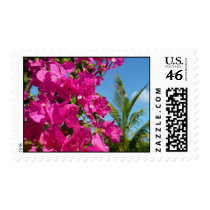 Bougainvillea and Palm Tree Postage