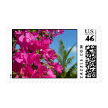 Bougainvillea and Palm Tree Postage postage