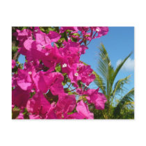 Bougainvillea and Palm Tree Postcard by mlewallpapers Bougainvillea and Palm Tree Postcard