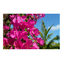 Bougainvillea and Palm Tree Print by mlewallpapers Bougainvillea and Palm Tree Print