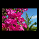 Bougainvillea and Palm Tree Print