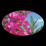 Bougainvillea and Palm Tree Sticker