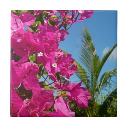 Bougainvillea and Palm Tree Tile