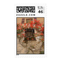 Bougainvillea at Window postage