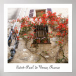 Bougainvillea at Window