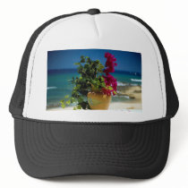Bougainvillea, Baja, Mexico Mesh Hats