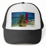 Bougainvillea, Baja, Mexico Mesh Hats