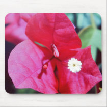 Bougainvillea Blossom mousepads by roimim Bougainvillea Blossom mousepads