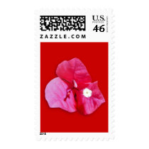 Bougainvillea Blossom postage