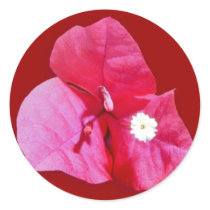 Bougainvillea Blossom stickers
