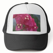 Bougainvillea Branch Mesh Hats