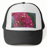 Bougainvillea Branch Mesh Hats