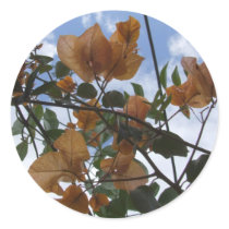 Bougainvillea Branches Sticker