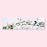 Bougainvillea bumper stickers