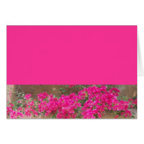 Bougainvillea cards by SeaAngel Bougainvillea cards