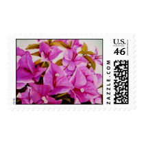 bougainvillea - flower painting stamp