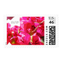 Bougainvillea Flower RSVP Hawaii Custom Stamps