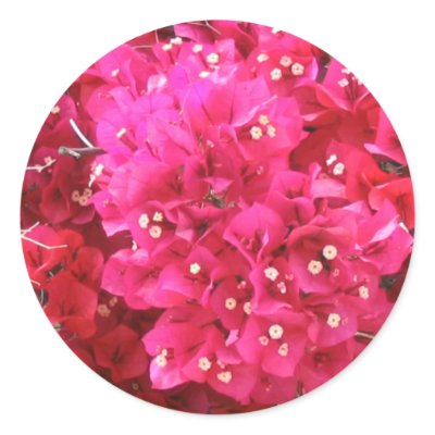 Bougainvillea Flower Sticker by StickerStore