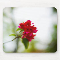 Bougainvillea (FreeWallpaperBlog.com) mousepads by freewallpaperblog Bougainvillea (FreeWallpaperBlog.com) mousepads