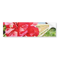 Bougainvillea Glabra Alias A Paper Flower In Greec Bumper Stickers