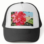 Bougainvillea Glabra Alias A Paper Flower In Greec hats