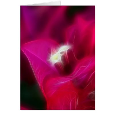 Bougainvillea Glow Card by naturespaintbox