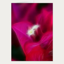 Bougainvillea Glow Card