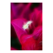 Bougainvillea Glow Poster posters by naturespaintbox Bougainvillea Glow Poster posters