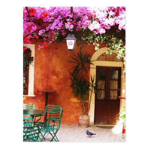 Bougainvillea growing outside a house, Mykonos, Gr Postcards