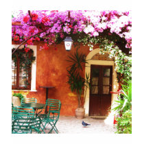 Bougainvillea growing outside a house, Mykonos, Gr t-shirts