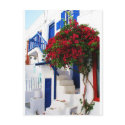 Bougainvillea growing outside a house, Mykonos postcards