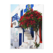 Bougainvillea growing outside a house, Mykonos postcards by foreverspring Bougainvillea growing outside a house, Mykonos postcards