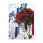 Bougainvillea growing outside a house, Mykonos Postcard