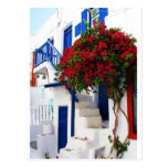 Bougainvillea growing outside a house, Mykonos Postcard